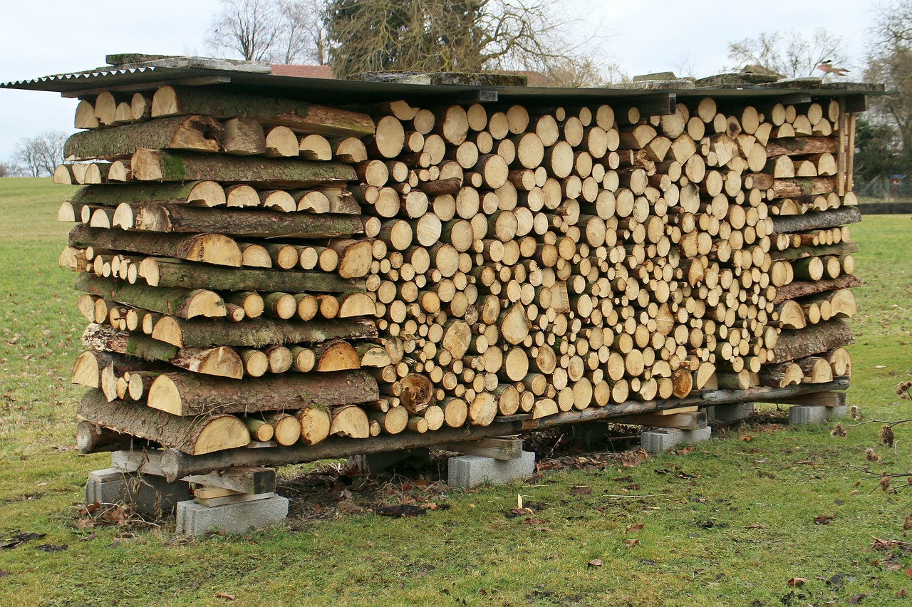 складирование дров