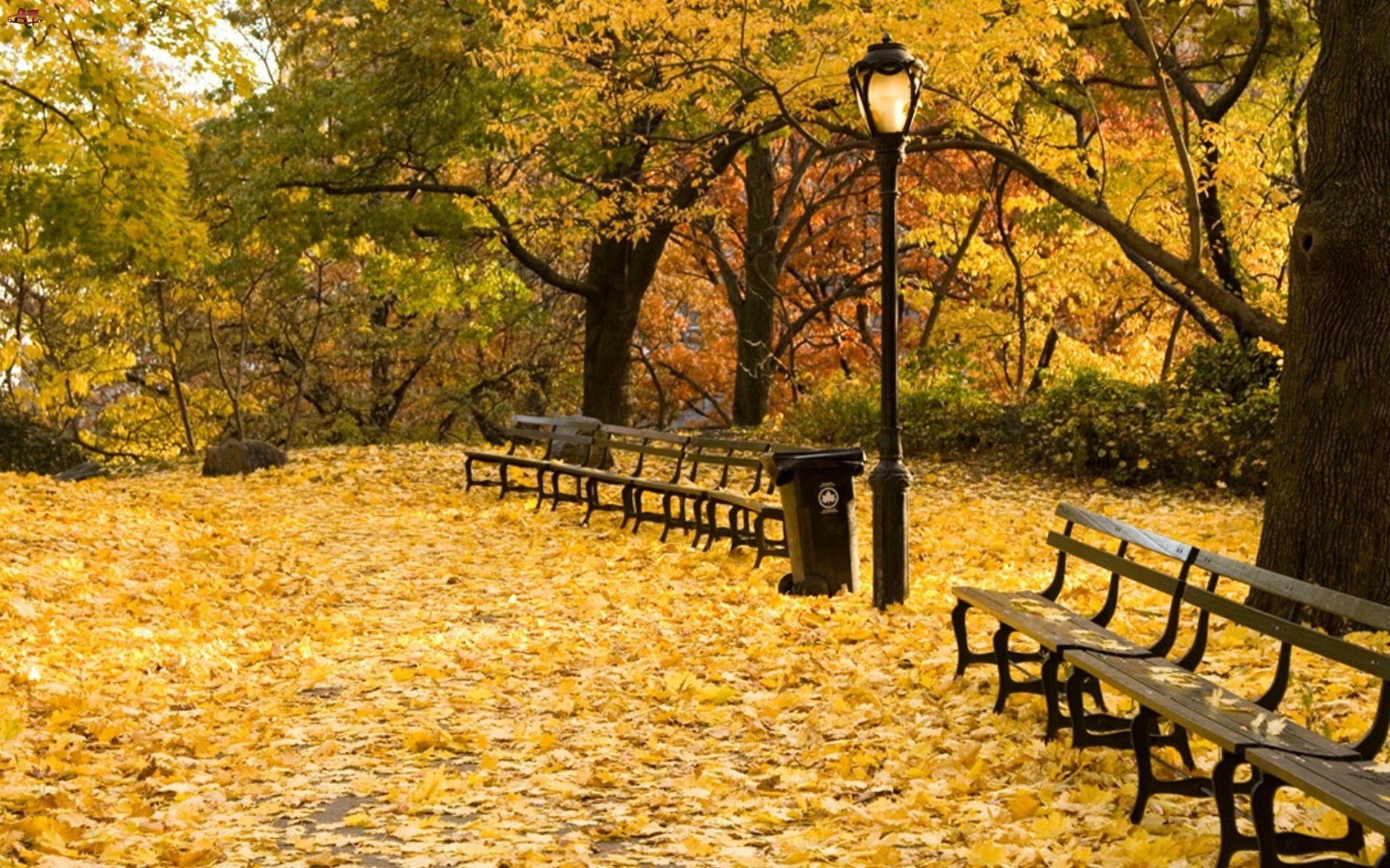 В парк пришла осень. Осенний парк. Осень в парке. Парк осенью. Осенний сквер.